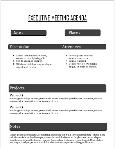  Executive Meeting Agenda 